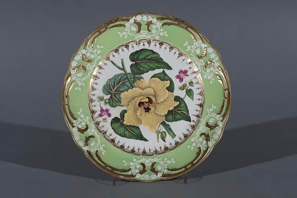 Coalport Botanical Plates, 'Hibiscus tiliaceus', or Lime-tree-leaved Hibiscus'. This is taken from 'Curtis's Botanical Magazine' 
    No.232    1817 . Diameter 23.5 cms