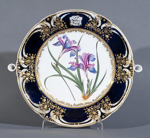 Chamberlains Worcester Hot Water plate, 'Pygmy Iris' taken from Curtis's Botanical magazine illustration 1811, hand-painted, soft paste porcelain, 29.5 x 26 x 6 cms