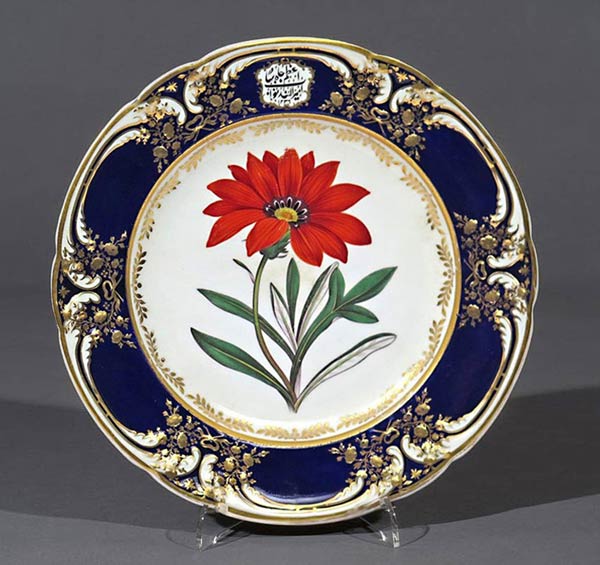 'Rigid-Leaved Gorteria'. From 'Curtis's Botanical Magazine, Vol 3, pl. 90