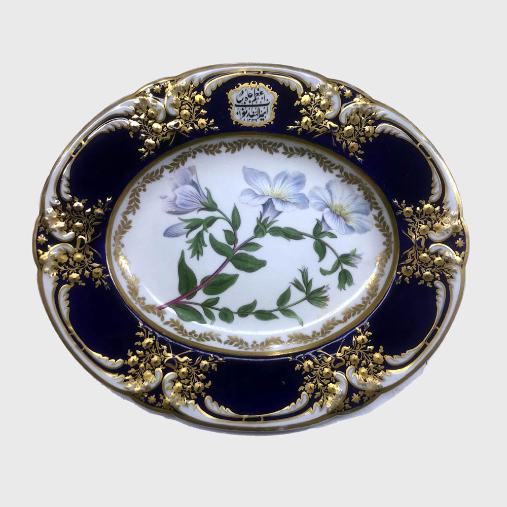 'Rigid-Leaved Gorteria'. From 'Curtis's Botanical Magazine, Vol 3, pl. 90