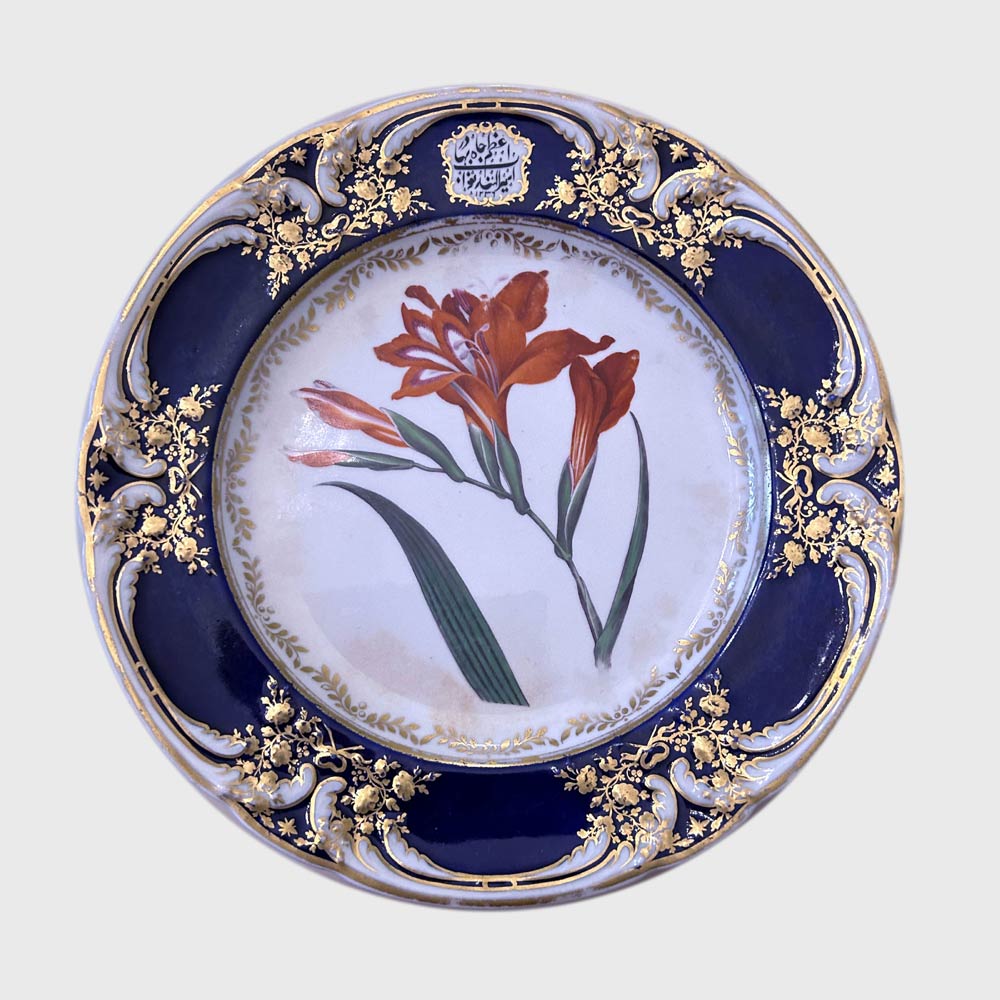 'Rigid-Leaved Gorteria'. From 'Curtis's Botanical Magazine, Vol 3, pl. 90