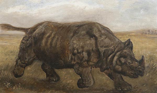 Rhinoceros, John Trivett Nettleship (1841 – 1831), Circa 1915